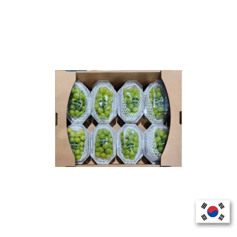 【新鮮直出】韓國忠清北道/慶山北道｜麝香葡萄分裝箱｜單盒600G以上